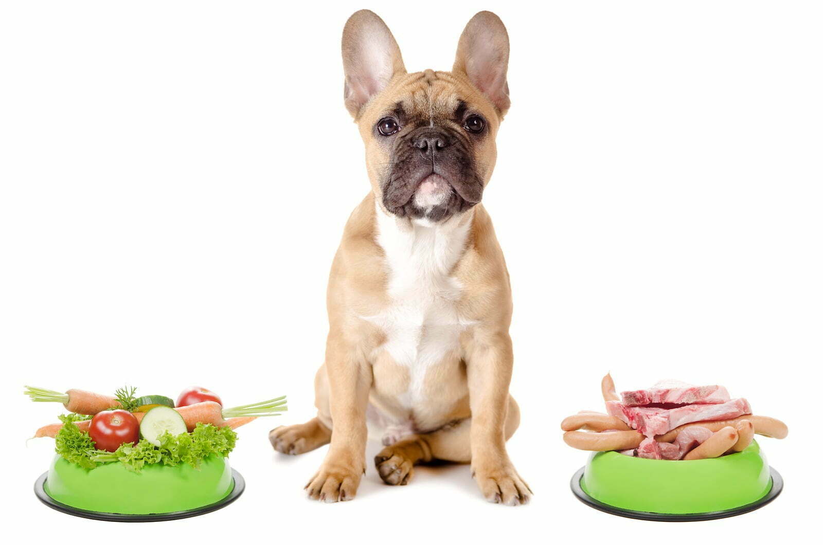 Dog Food